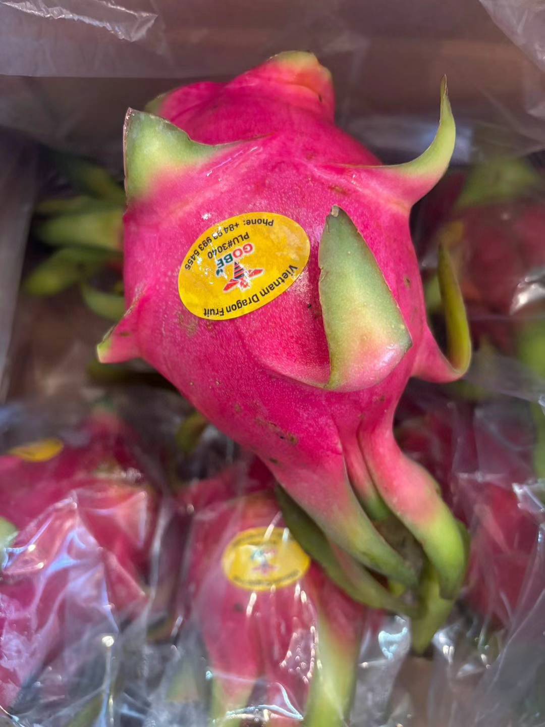 Vietnamese Dragon Fruit (5LB)