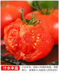 vine-ripened tomato ≈1.5lbs「GT」