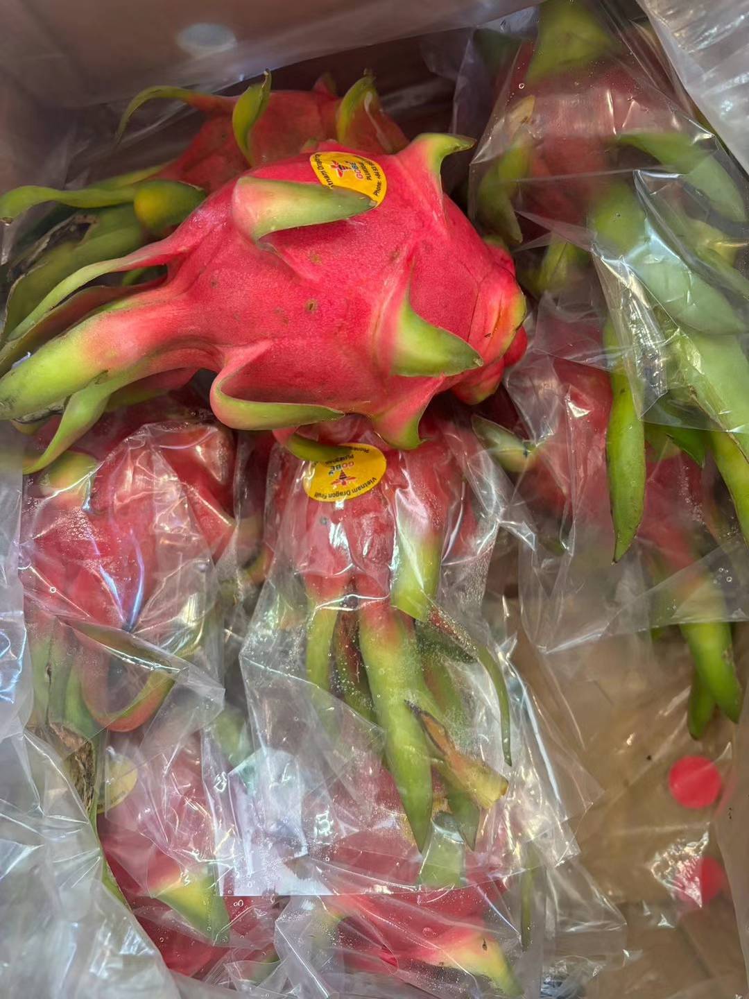 Vietnamese Dragon Fruit (5LB)