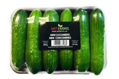 Mini Cucumber 2LB