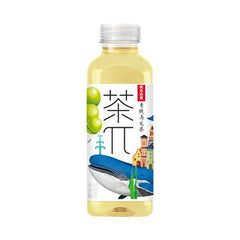 农夫山泉茶派 青提乌龙茶500ml