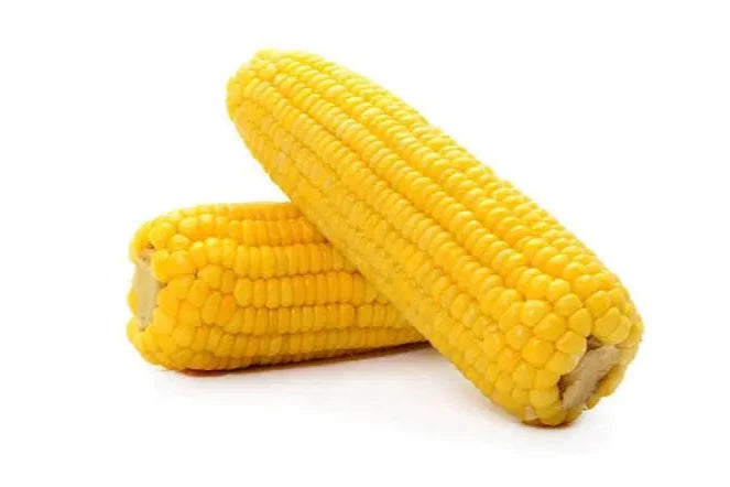 Sweet Corn (6pcs)