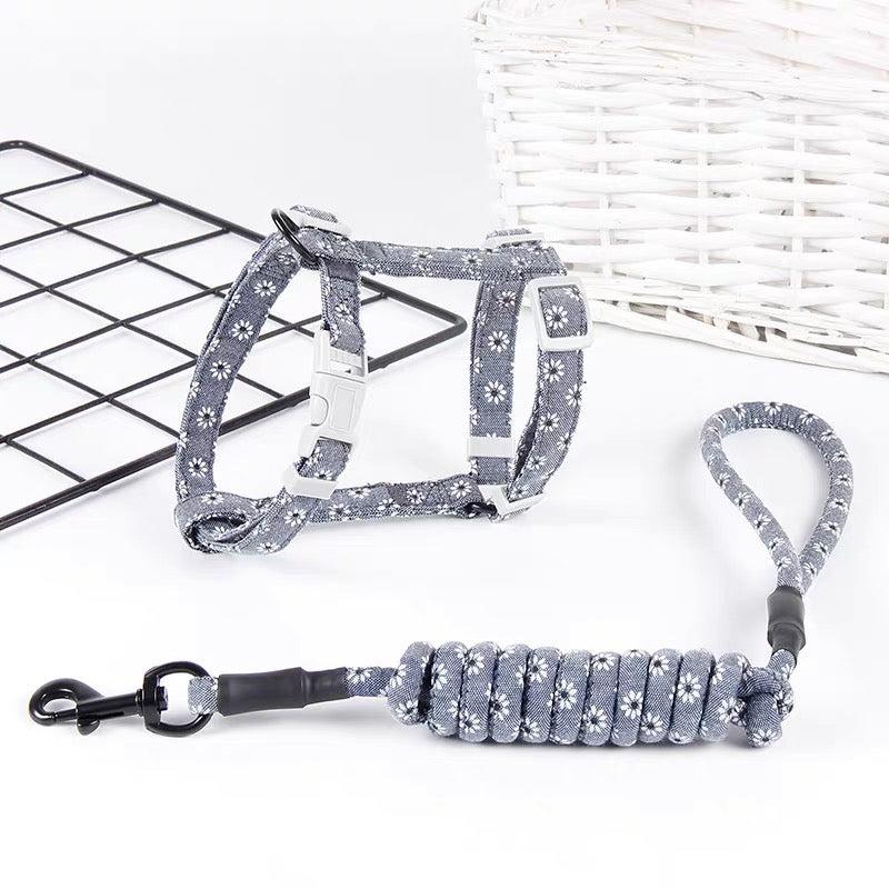 Pet Leash Medium size