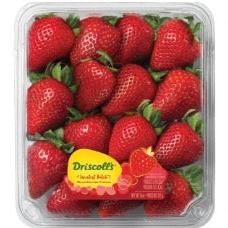 Driscoll's Sweetest Batch Strawberry 14oz=396g DC Fruit