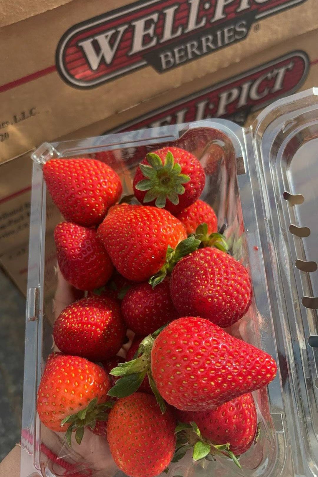 Fresh Strawberry 1 LBS/box DC Fruit