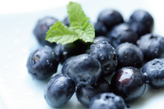 Blueberries 551g/box DC fruits